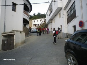 IMGP3441