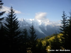 IMGP3169
