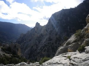IMGP0758