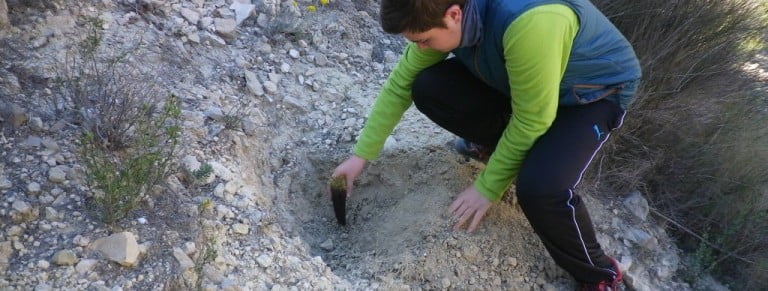 Plantá de Pins (28/02/2016).