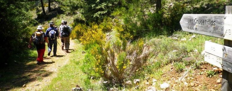 Circular y cumbre del Pico Gallinero (28/04/2016).