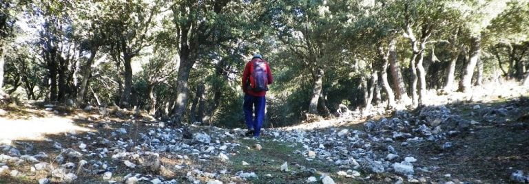 Circular por la Vidriera (07/01/2017).