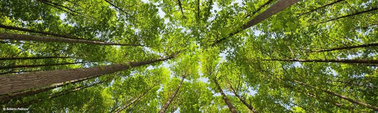 Domingo 15: XX Anem a la Serra – Salida medioambiental.