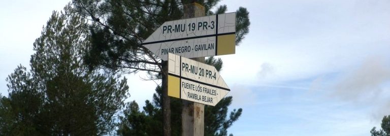Pico Gavilán 1499. Concurso de las 12 Cumbres de más de 1000 m. (04/02/2017).