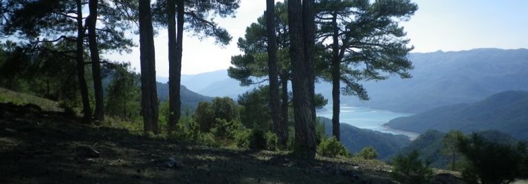 Circular al Cerro de Montalvo (13/04/2017).