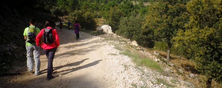 XX Anem a la Serra. Ermita Casa Cristo – Camping la Puerta (23/04/17).