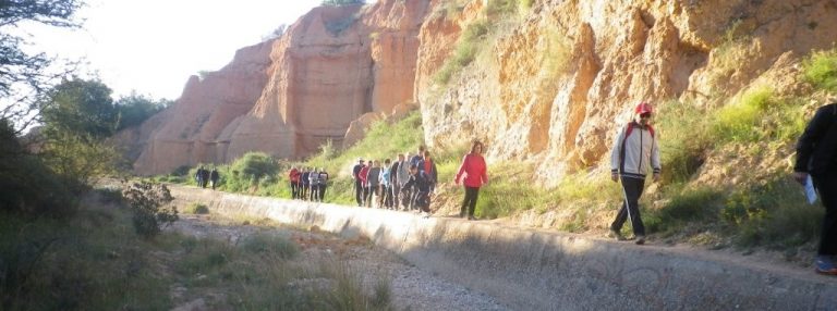 Salida botánica, Nuestras plantas. XXI Anem a la Serra.