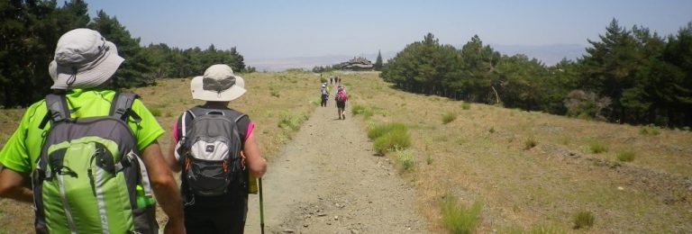 Cumbre 3000: Cerro Pelado 3182 y Ruta del Avión (14/07/2018).