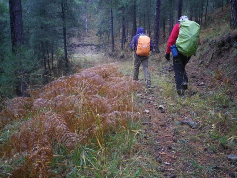 Calar de Morillas y El Rayo (17/11/18).