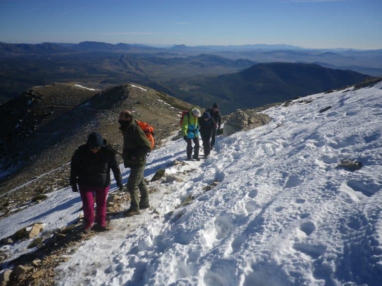 Actividades del puente de noviembre.
