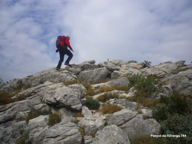 Pas dels Bandolers (23/03/2019).