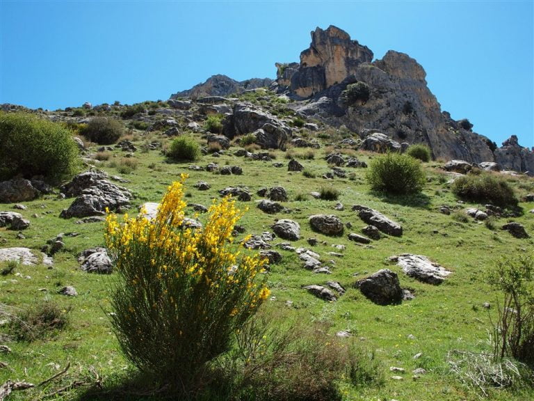 Parque natural de la Sierra de Castril (04/05/2019).