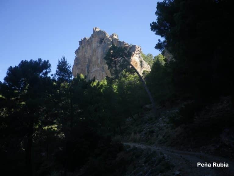 Circular al Yelmo Chico. Cumbre de Los Ranchales, 1513 m. (22/06/2019)