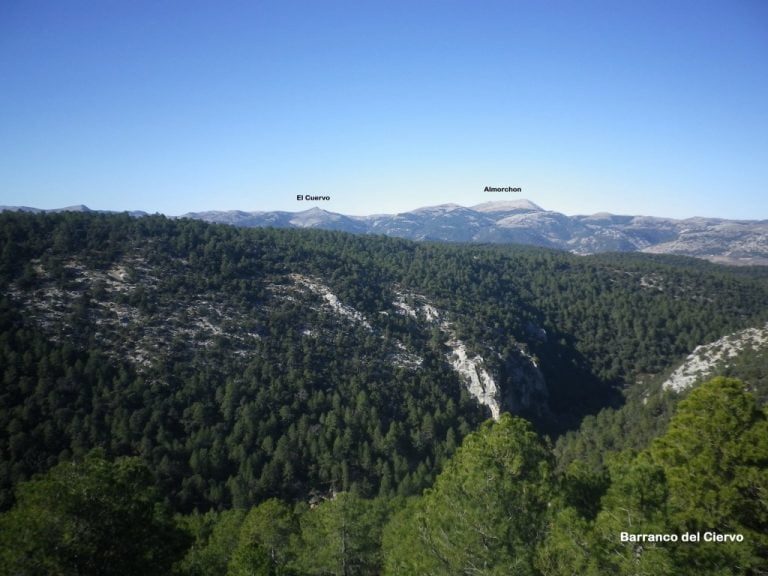 Circular por el Barranco del Ciervo. Mirador del Churrascón (04/01/2019).