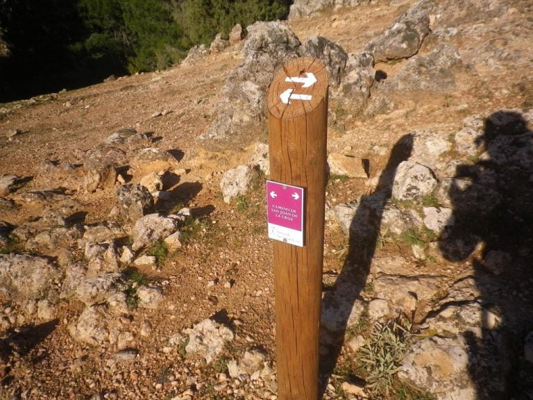 Circular por el Pinar de la Vidriera. Sendero Loma Gandía (26/12/2019).
