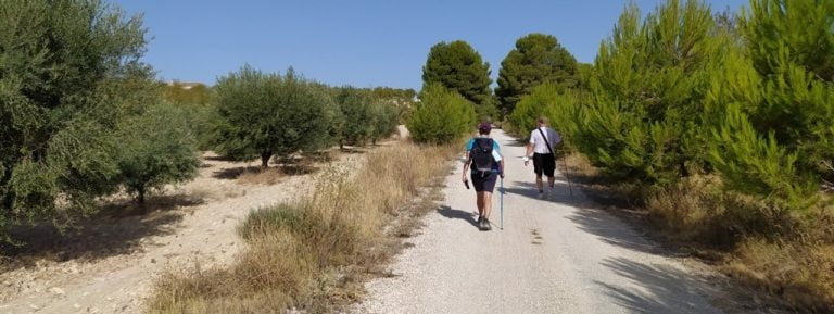 Camino de la Vera Cruz. Etapa IV – Mula – Bullas (21 Km).
