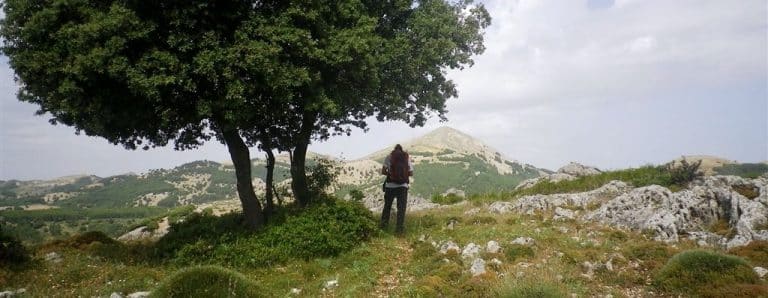 Monte Pie de Oveja. Majal Alto, 1654 m.