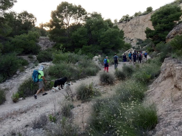 Marcha nocturna (25/05/2022).