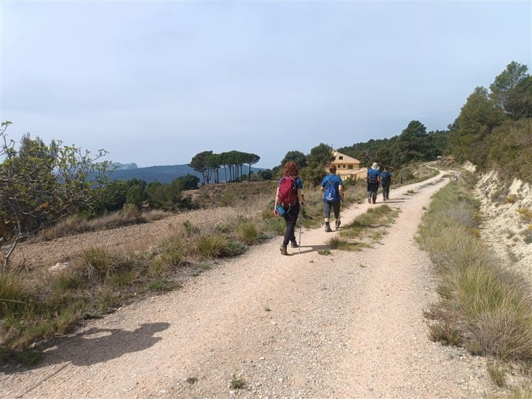 Pla del Cirer / Alt de Campedrana