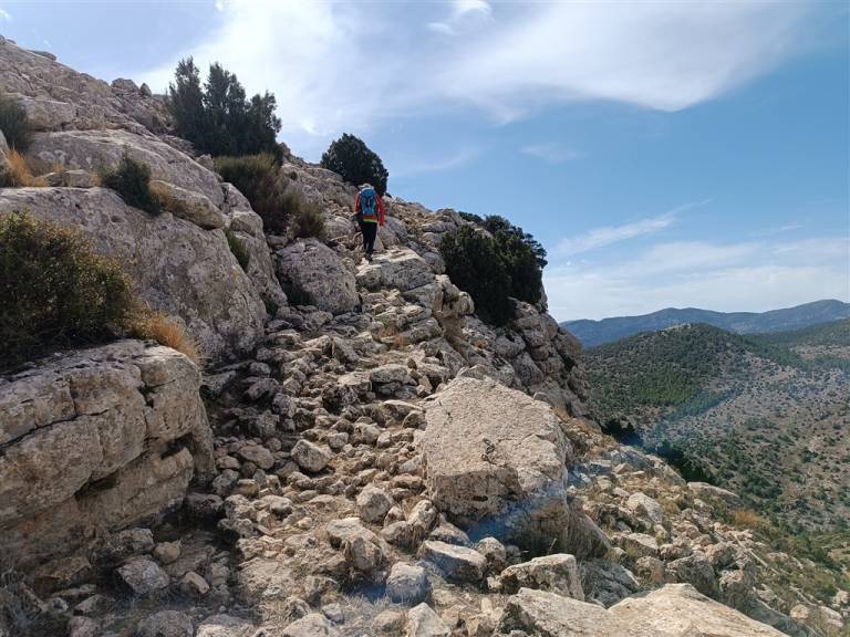 Peña Jarota
