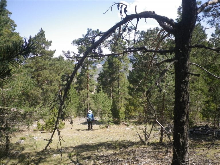 Alto de las Barracas, 1838m.