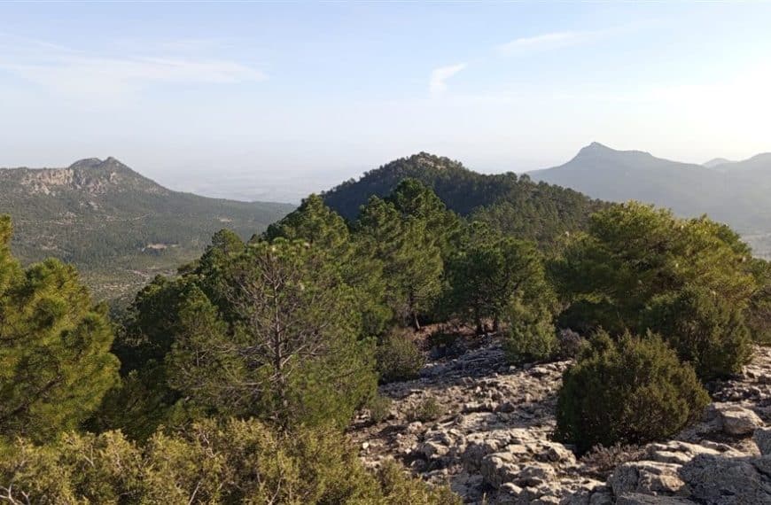 Puntal de Gorra Nogueras, 1504 m.