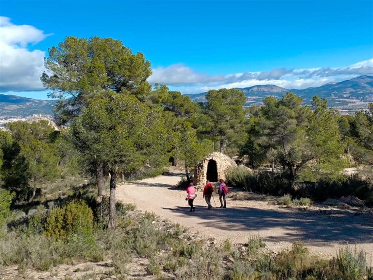 Alt del Xarco 1106