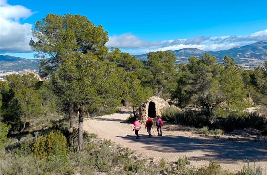 Alt del Xarco 1106